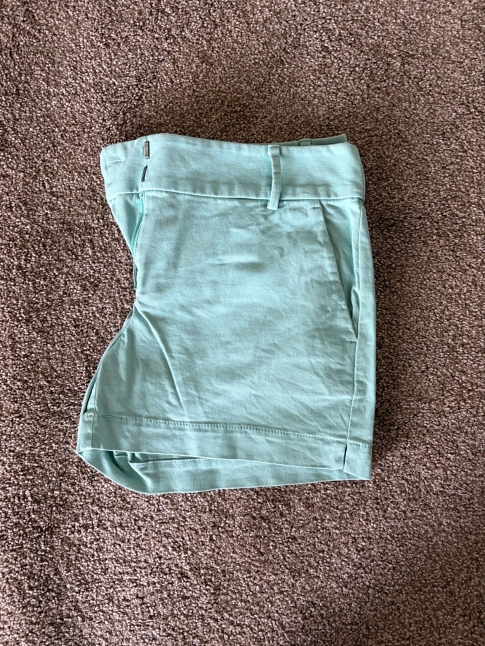 Loft Riviera Shorts